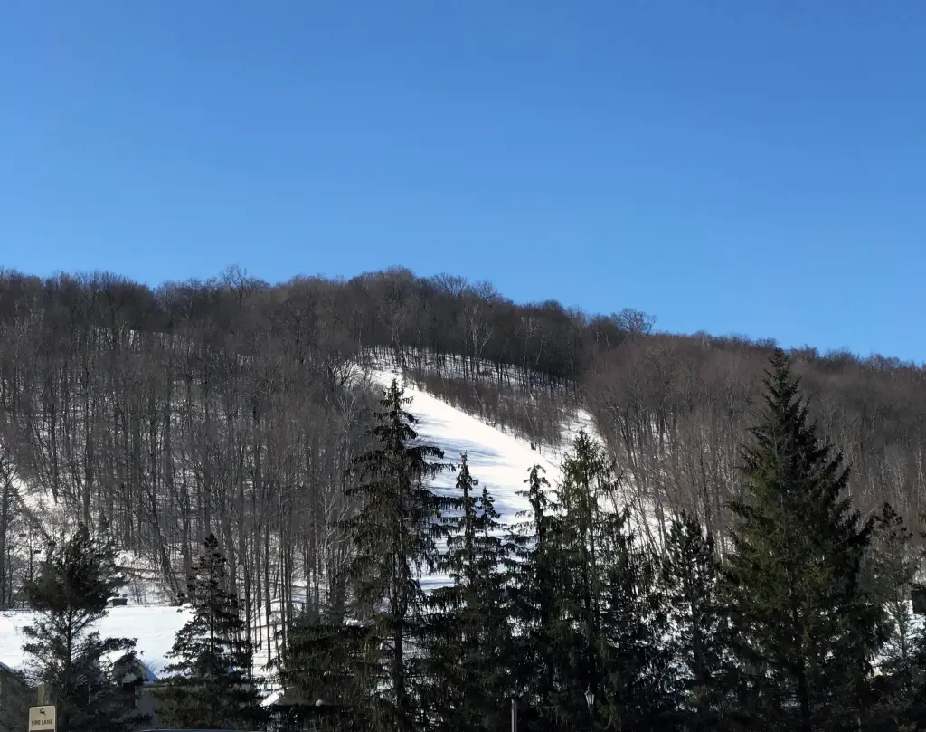 photographing winter photo